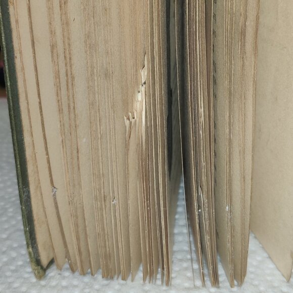 Antique -Primer of Physiology & Hygiene, W T Smith, 1885, 1st Edition Book. - Picture 14 of 15